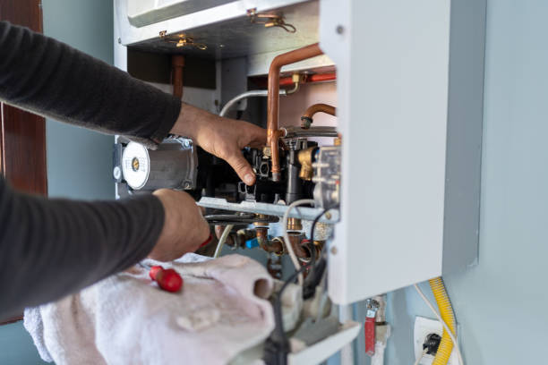 Best Sprinkler Systems  in Ludington, MI